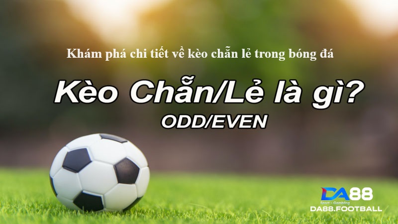 Cược chẵn lẻ là gì?